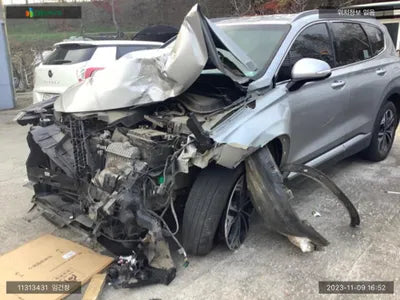 2019 Hyundai Santa FE KMHS381BDLU244867 VIN:KMHS381BDLU244867