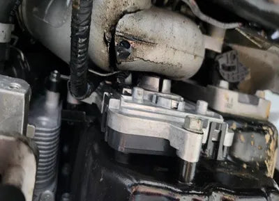 2021 Hyundai Santa FE KMHS381HHMU325003 VIN:KMHS381HHMU325003