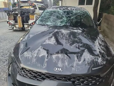 2021 Kia K5 KNAG241ABMA102898 VIN:KNAG241ABMA102898