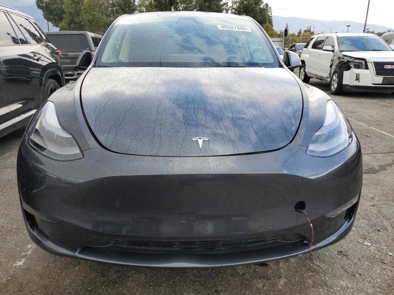 2024 TESLA MODEL Y  VIN:7SAYGDED1RF052031