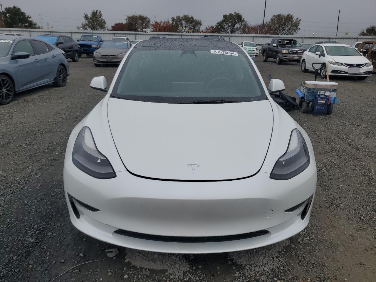 2023 TESLA MODEL 3  VIN:5YJ3E1EA0PF459174