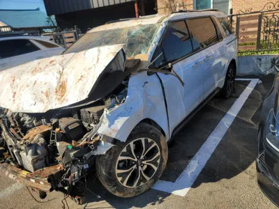 2021 Kia Carnival KNANE81BBNS155173 VIN:KNANE81BBNS155173