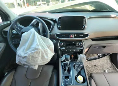 2020 Hyundai Santa FE KMHS381CDLU246684 VIN:KMHS381CDLU246684