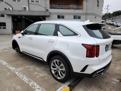 2023 Kia Sorento KNARF81BHPA198142 VIN:KNARF81BHPA198142
