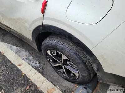 2022 Kia Sportage KNAPW81GBNK029785 VIN:KNAPW81GBNK029785