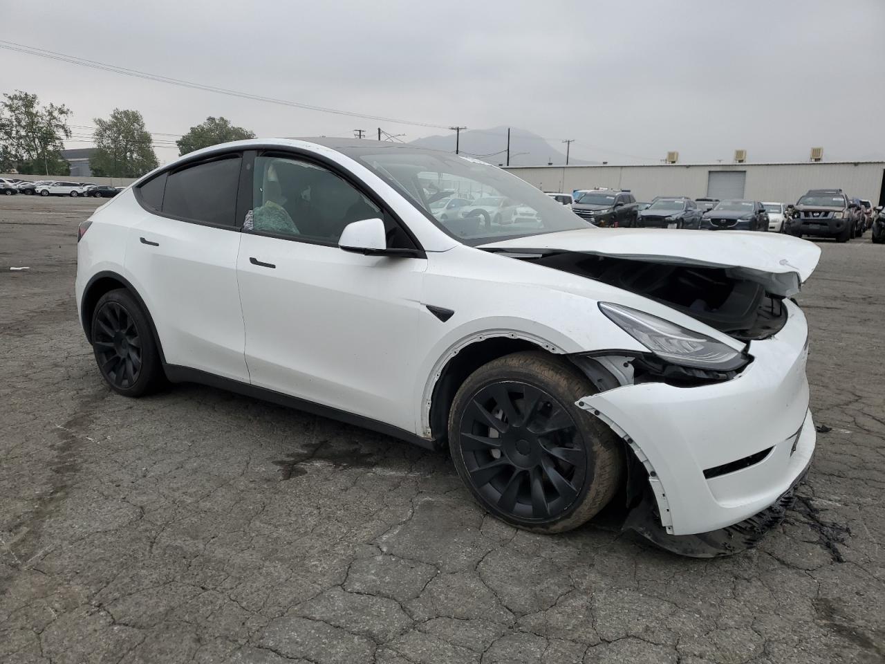 2023 TESLA MODEL Y  VIN:7SAYGDEEXPA042715