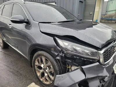 2019 Kia Sorento KNAPH81BBLA633531 VIN:KNAPH81BBLA633531