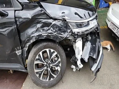 2021 Kia Carnival KNANB81BBMS012098 VIN:KNANB81BBMS012098