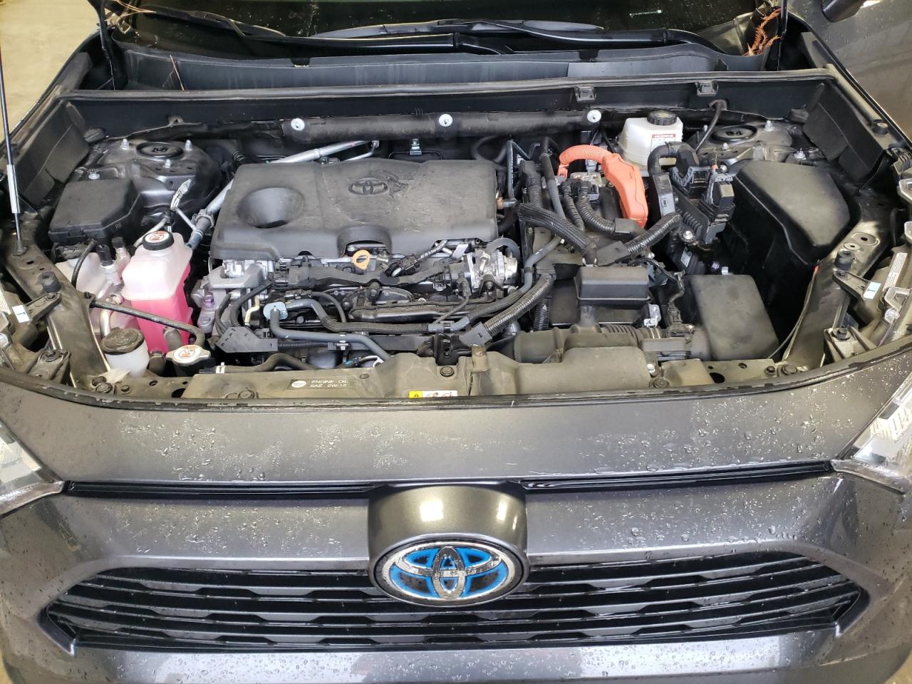 2024 TOYOTA RAV4 LE VIN:2T3LWRFV9RW199240