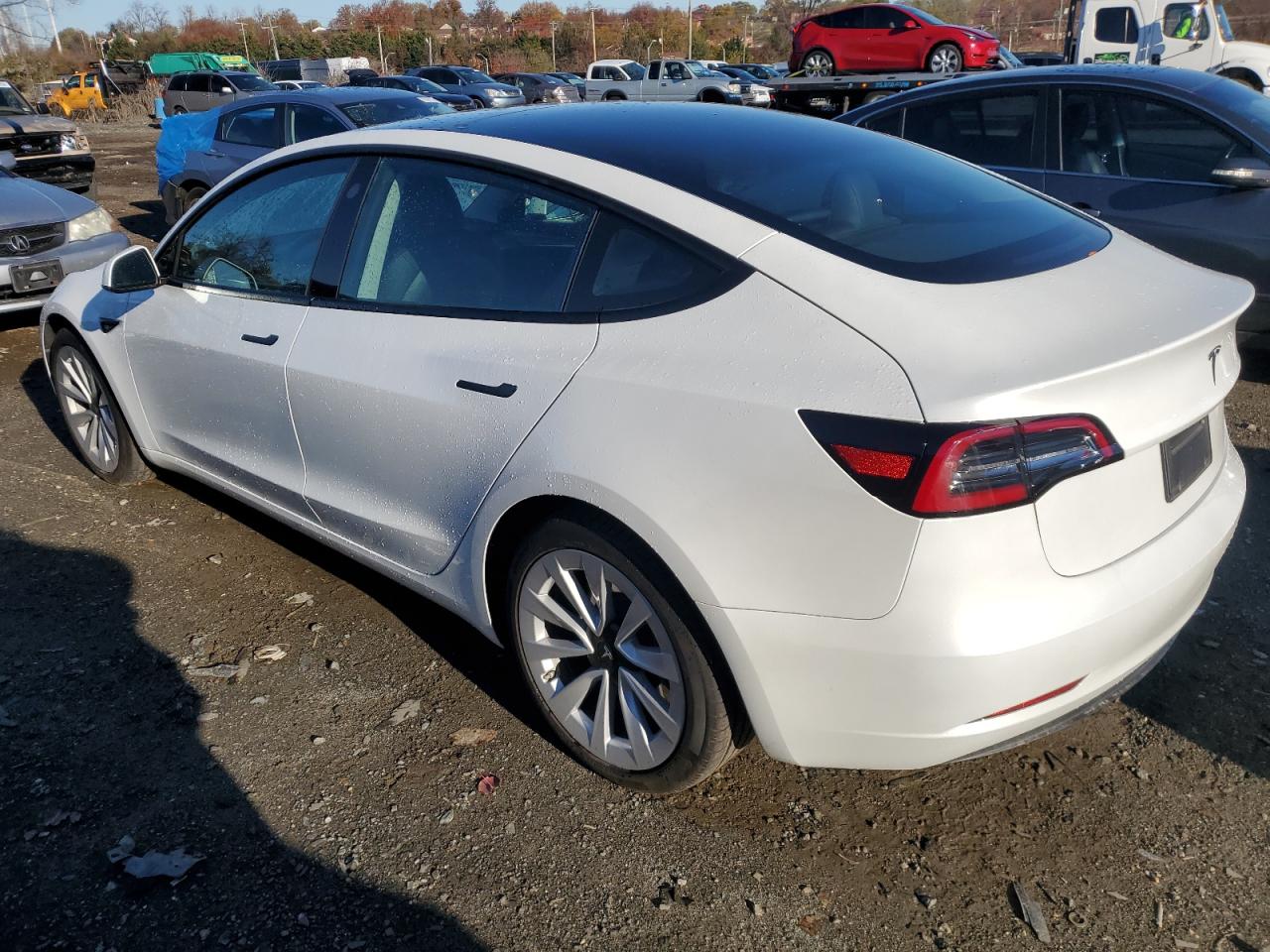 2023 TESLA MODEL 3  VIN:5YJ3E1EA3PF450677