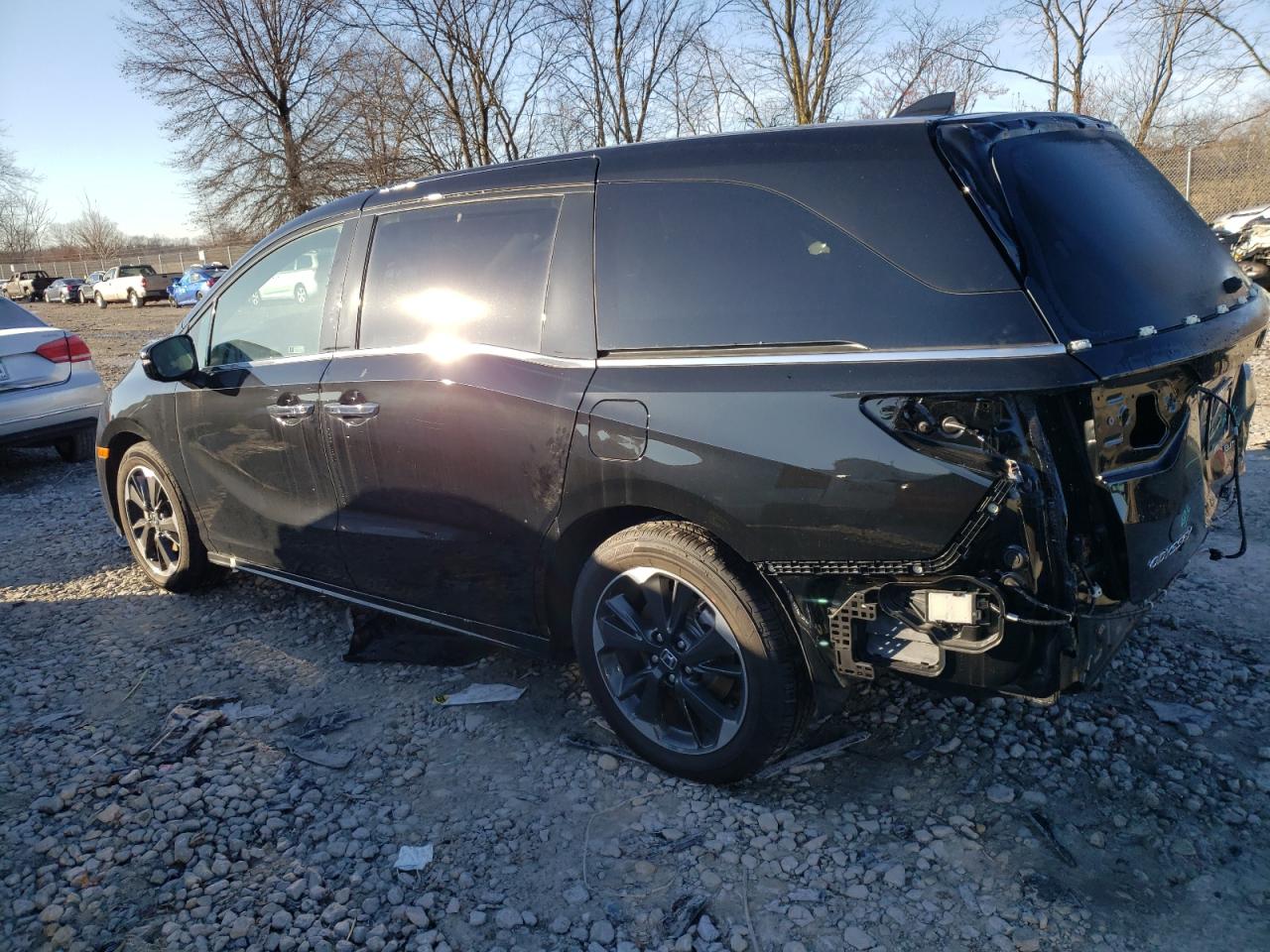2023 HONDA ODYSSEY ELITE VIN:5FNRL6H93PB065473