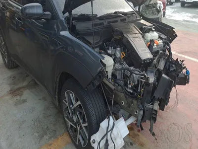 2020 Hyundai Kona KMHK381EGLU009425 VIN:KMHK381EGLU009425
