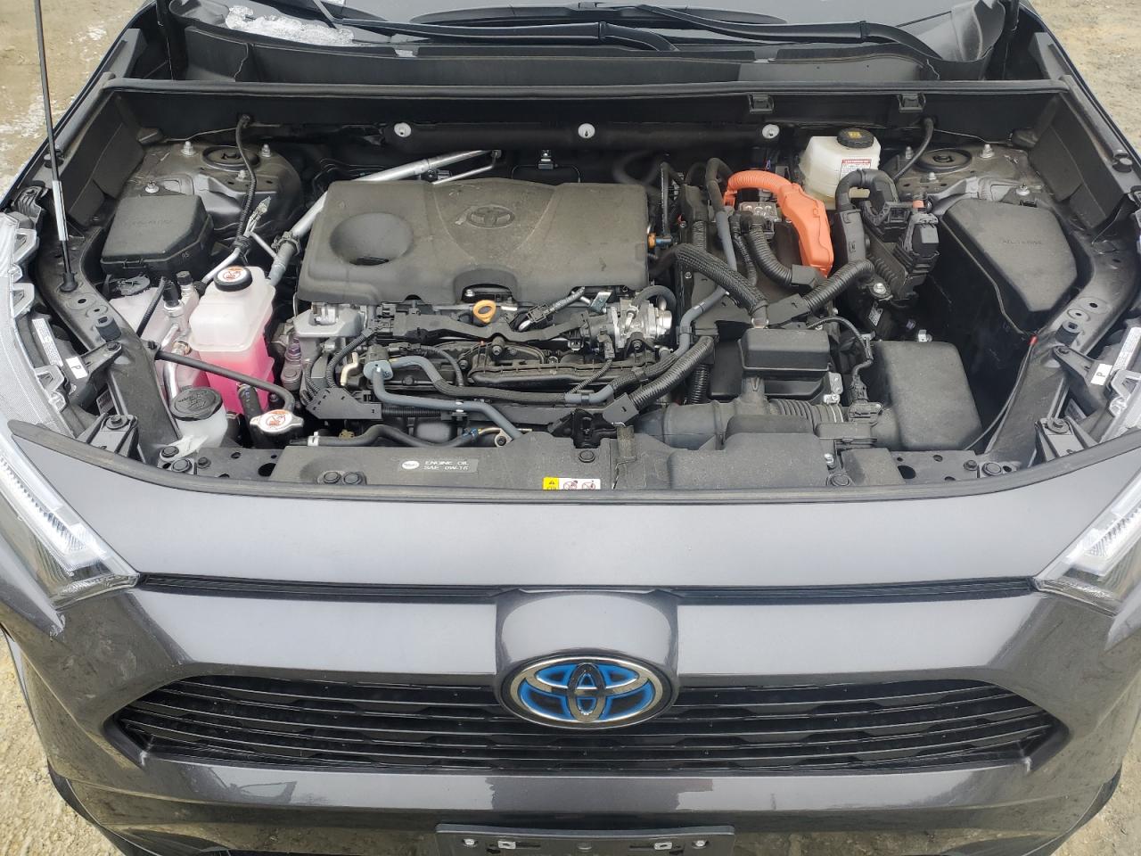 2023 TOYOTA RAV4 XSE VIN:2T3E6RFV2PW046558