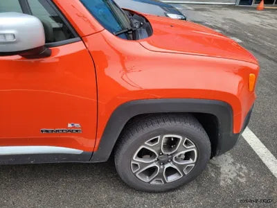 2017 Jeep Renegade 1C4BU0000HPF98739 VIN:1C4BU0000HPF98739