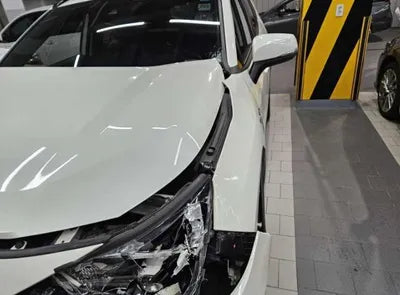 2019 Toyota RAV4 VIN: