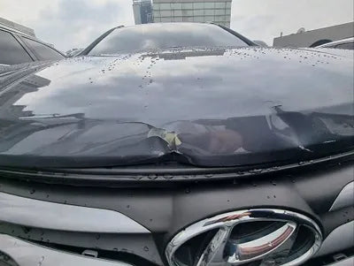 2018 Hyundai Santa FE KMHSW81UBJU851401 VIN:KMHSW81UBJU851401