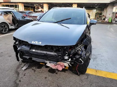 2023 Kia Sportage KNAPW81GBPK054214 VIN:KNAPW81GBPK054214