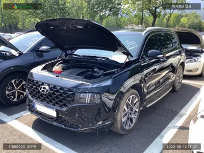 2021 Hyundai Santa FE KMHS581LGMU378244 VIN:KMHS581LGMU378244