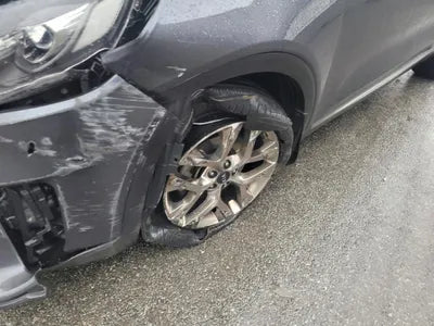2019 Kia Sorento KNAPH81BBLA633531 VIN:KNAPH81BBLA633531