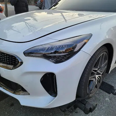 2021 Kia Stinger KNAE351DDMS099818 VIN:KNAE351DDMS099818