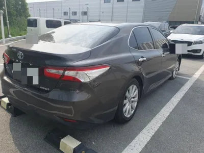 2019 Toyota Camry JTNB21HK6K3036528 VIN:JTNB21HK6K3036528