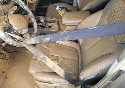 2019 Hyundai Santa FE KMHS381BDKU033487 VIN:KMHS381BDKU033487