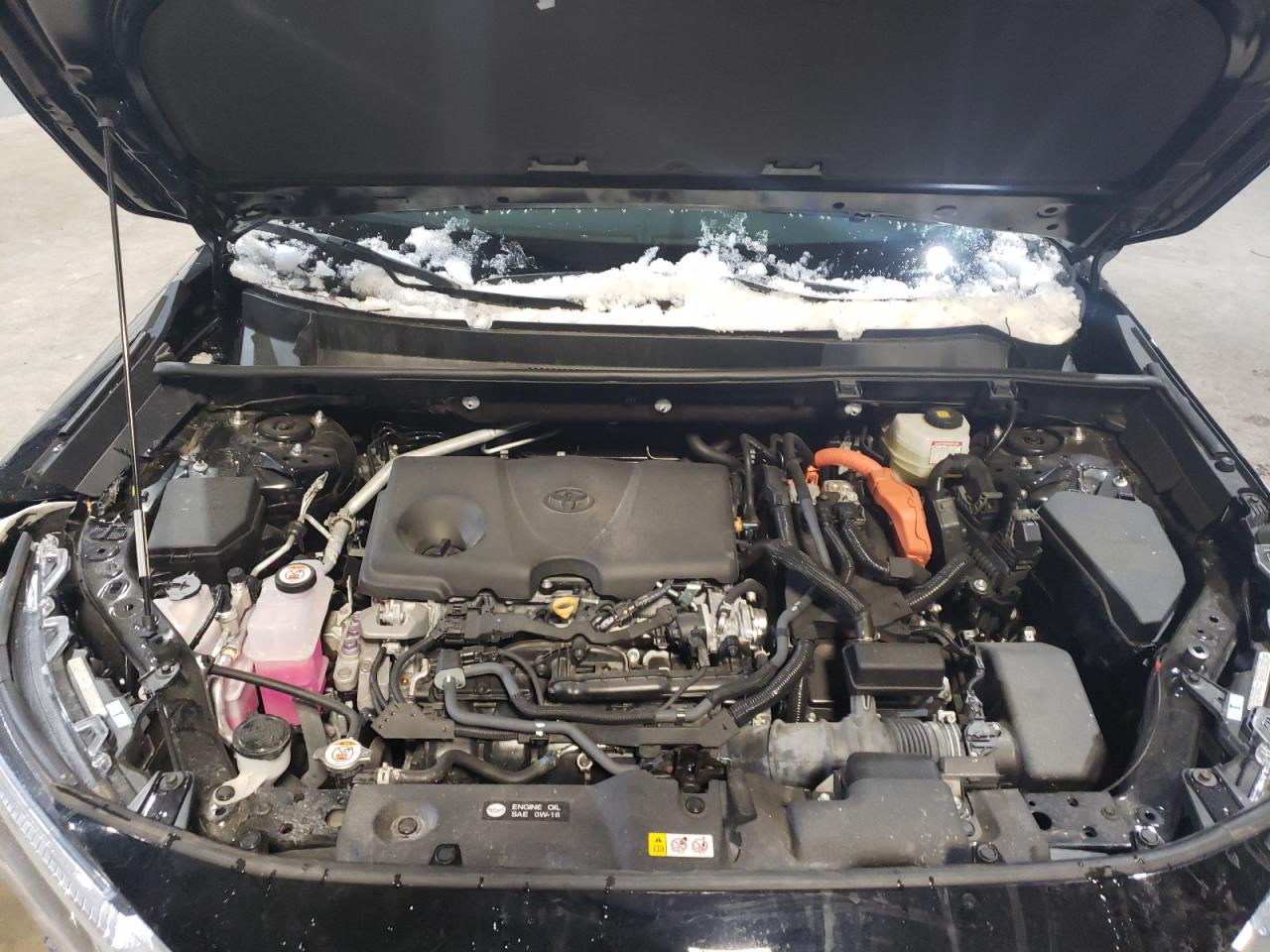 2023 TOYOTA RAV4 LE VIN:4T3MWRFV5PU095409