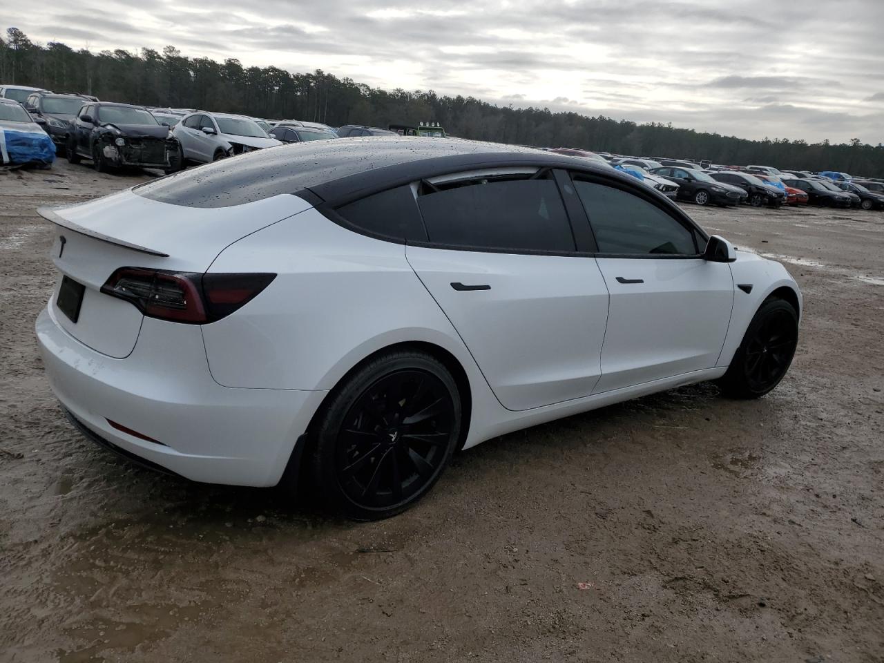 2023 TESLA MODEL 3  VIN:5YJ3E1EA1PF494273