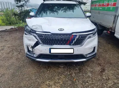 2021 Kia Carnival KNANE81BBMS073819 VIN:KNANE81BBMS073819