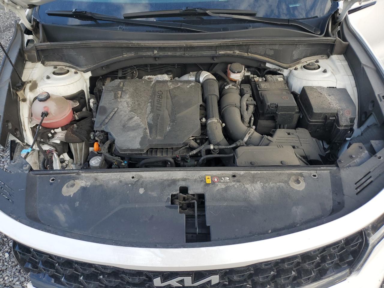 2022 KIA SORENTO SX VIN:5XYRKDLF8NG107419