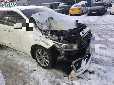 2019 Kia Carnival KNAME81ABKS487105 VIN:KNAME81ABKS487105