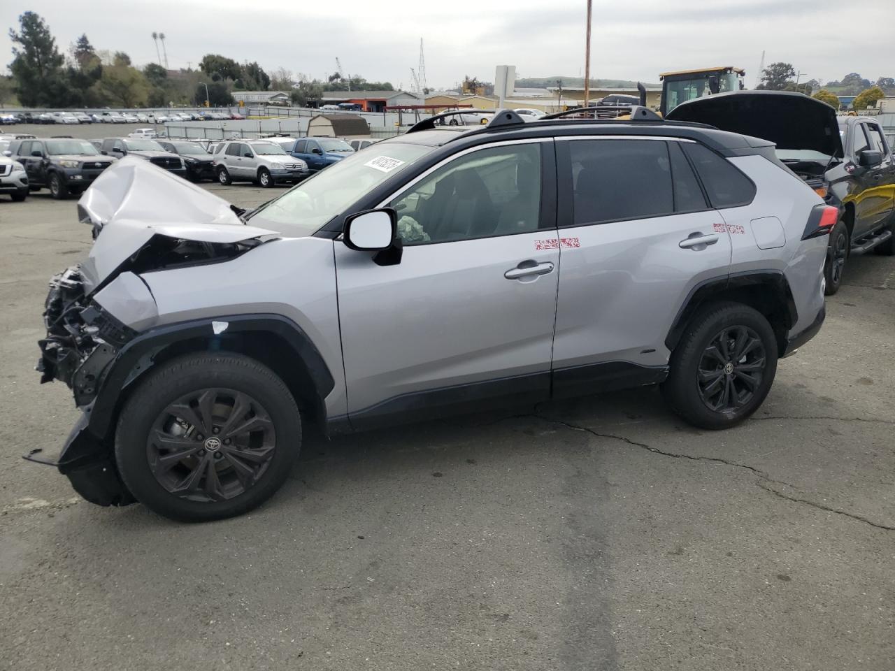2024 TOYOTA RAV4 XSE VIN:JTME6RFV1RD563804