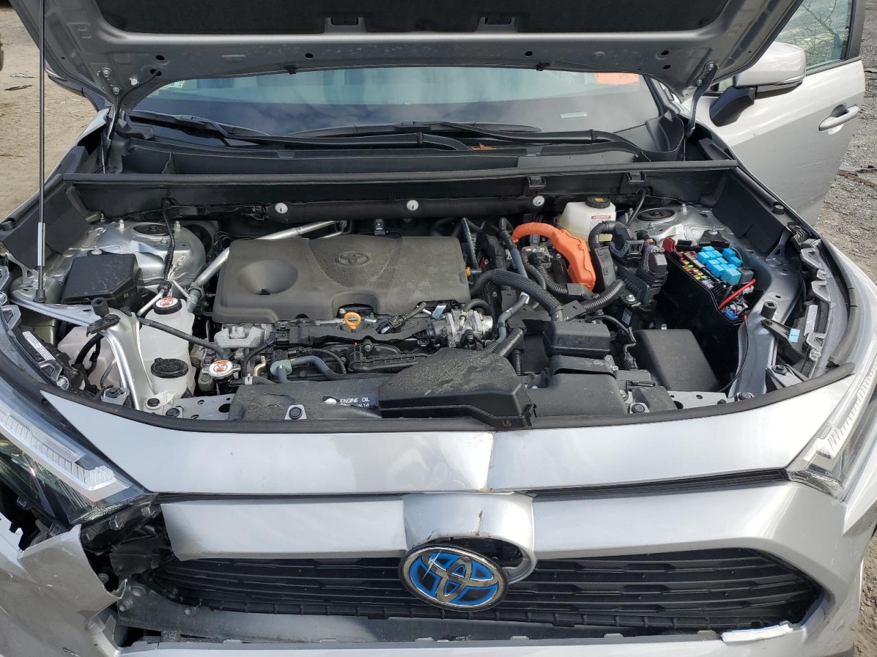 2024 TOYOTA RAV4 XLE VIN:2T3RWRFV5RW243907