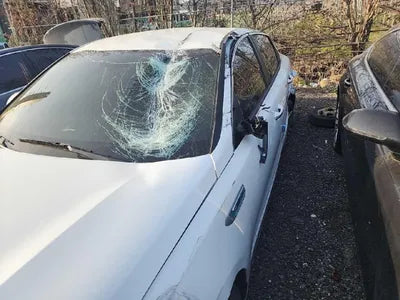 2017 Kia K5 KNAGT41CBHA005414 VIN:KNAGT41CBHA005414