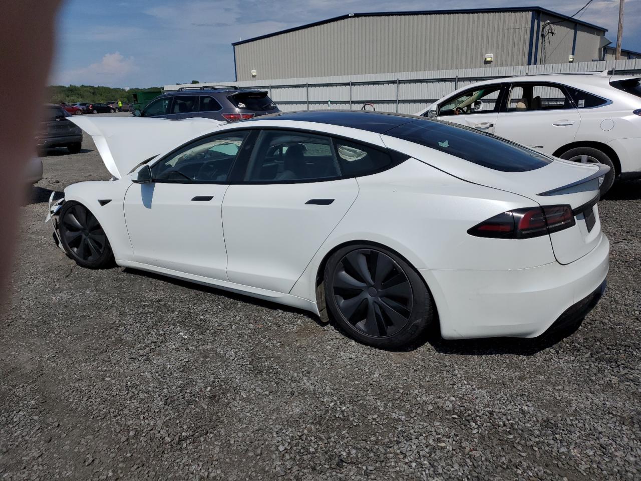 2023 TESLA MODEL S  VIN:WP0AA2A8XNS255297