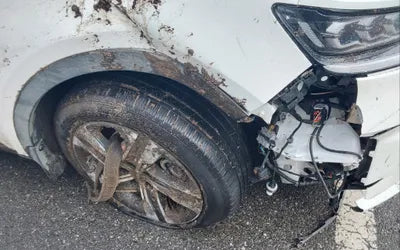2023 Kia Sorento KNARL81GBPA135233 VIN:KNARL81GBPA135233