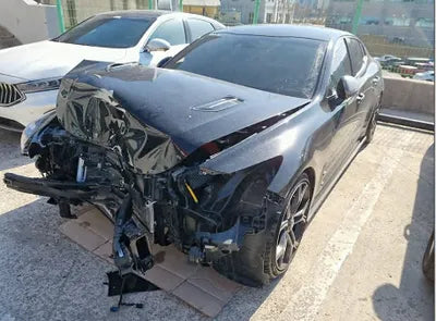 2019 Kia Stinger KNAE751CBKS062844 VIN:KNAE751CBKS062844