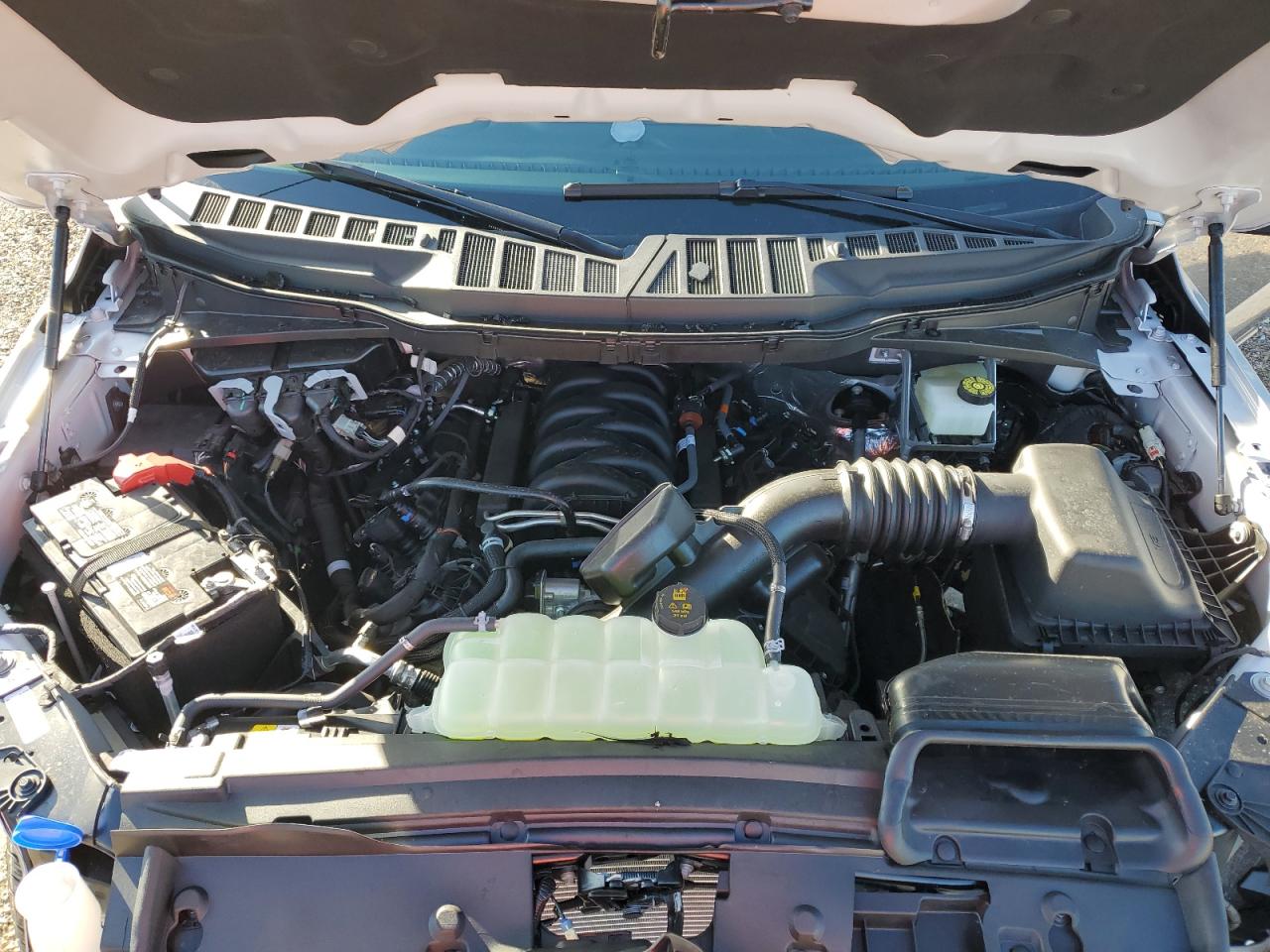 2024 FORD F150 XLT VIN:1FTFW3L56RFB84789