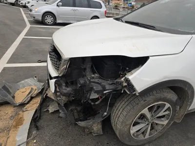 2019 Kia Sorento KNAPG81BDKA540068 VIN:KNAPG81BDKA540068