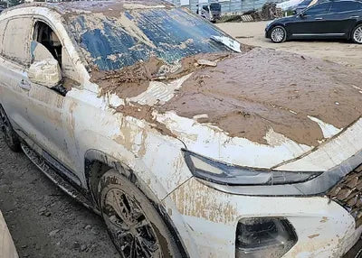 2019 Hyundai Santa FE KMHS381ADKU132219 VIN:KMHS381ADKU132219