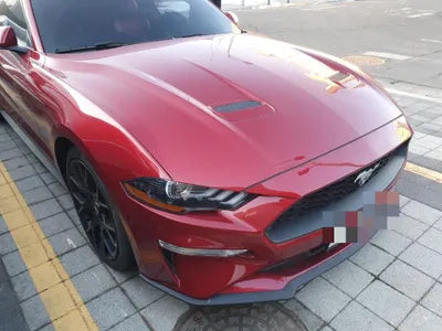 2019 Ford Mustang 1FATP8UH3K5196891 VIN:1FATP8UH3K5196891