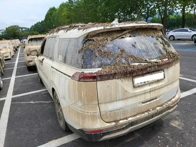 2021 Kia Carnival KNANB81BBNS140421 VIN:KNANB81BBNS140421