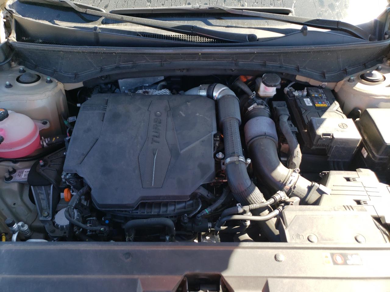 2023 HYUNDAI SANTA CRUZ LIMITED VIN:5NTJEDAFXPH055280