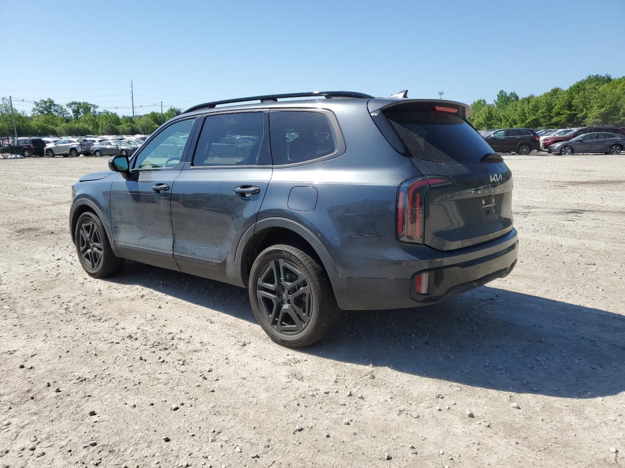 2024 KIA TELLURIDE EX VIN:5XYP3DGC0RG458593