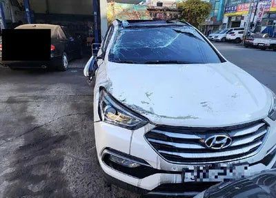 2018 Hyundai Santa FE KMHSW81UBJU833042 VIN:KMHSW81UBJU833042