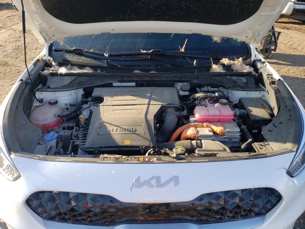 2022 KIA NIRO LX VIN:KNDCB3LC0N5548959