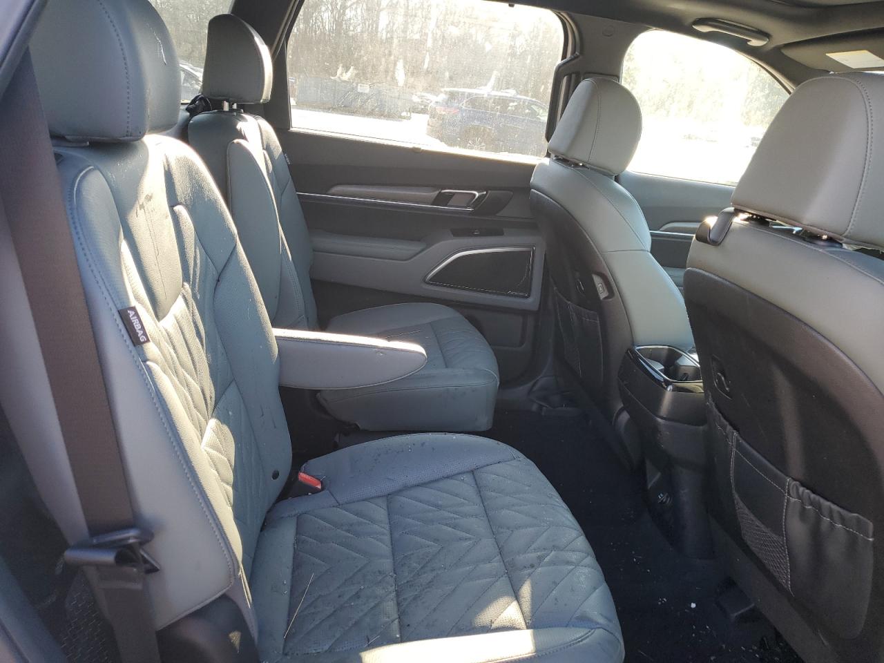 2023 KIA TELLURIDE SX VIN:5XYP5DGC4PG371173