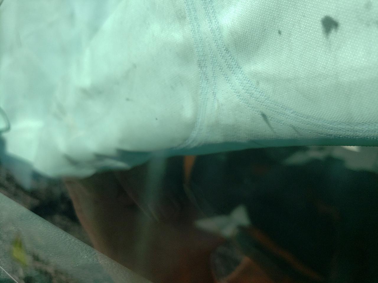 2023 CHEVROLET SILVERADO K1500 VIN:3GCUDAED8PG324648