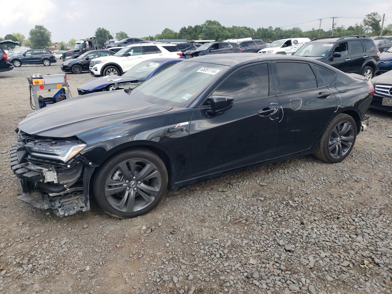 2023 ACURA TLX TECH A VIN:19UUB5F50PA005488
