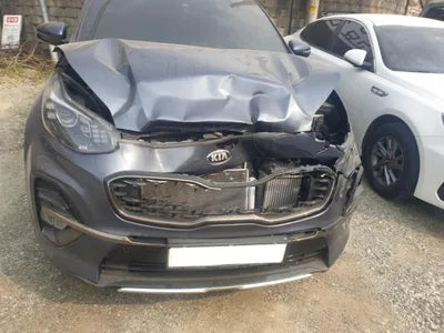 2019 Kia Sportage KNAPN813BKK727225 VIN:KNAPN813BKK727225